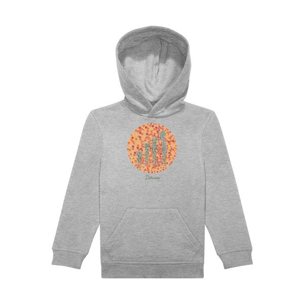 sweat capuche enfant Sports Grey Daltonisme